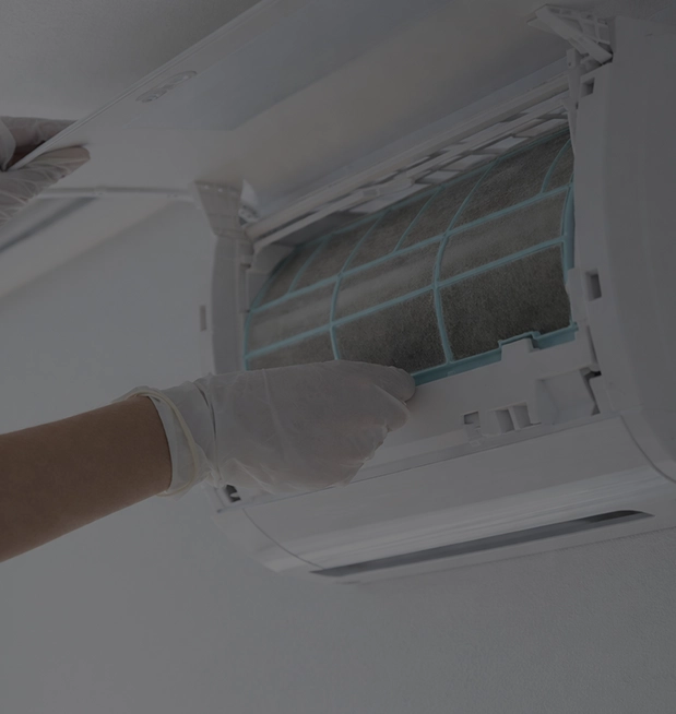 에어 아카데미 메인 배경